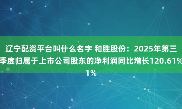 辽宁配资平台叫什么名字 和胜股份：2025年第三季度归属于上市公司股东的净利润同比增长120.61%